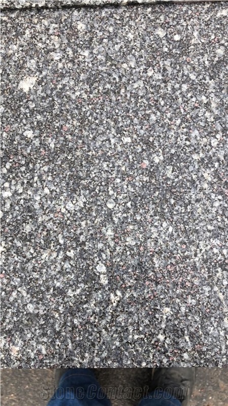 Cardinal Grey Granite Slabs & Tiles, Ukraine Grey Granite
