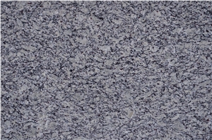 Santa Cecilia Light Granite Slabs