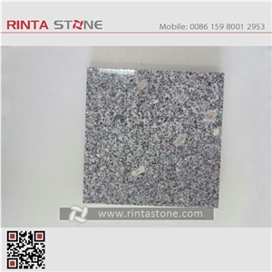 G341 Silver Granite Amber Grey Rinta Stone Gray