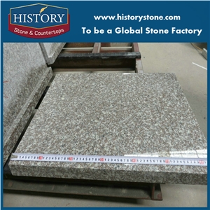 G664 Brainbrook Brown Granite Tile