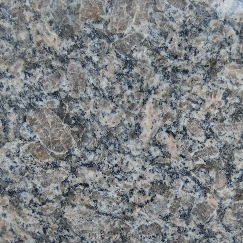 Kaledonia Brown Granite Tiles Floor