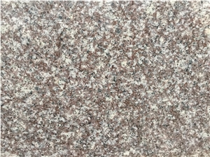 Brainbrook Brown Countertop G664 Cheap Granite