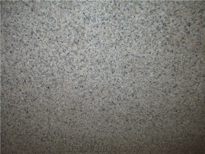G681 Granite Half Slabs Flooring Application Wall