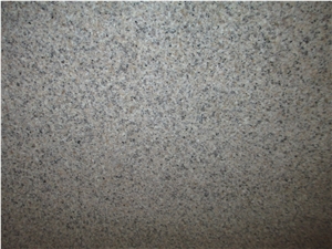 G681 Granite Half Slabs Flooring Application Wall