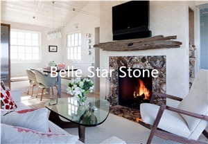 Petrified Wood Gemstone Indoor Fireplace Surrounds