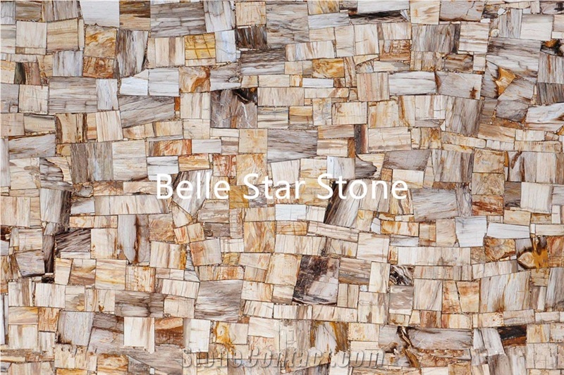 Wood Fossil/Silicified Wood Precious Stone Tiles