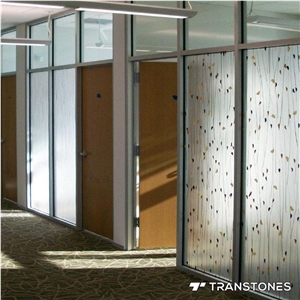 Leaf Pattern Translucent Acrylic Panel Door Design