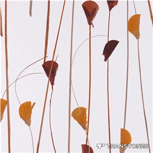 Leaf Pattern Translucent Acrylic Panel Door Design
