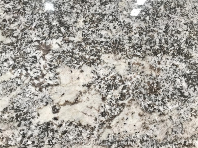 Bianco Antico Classic Granite Slab