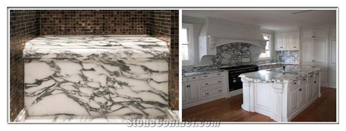 Arabescato Piana Marble Slabs Bathroom Flooring