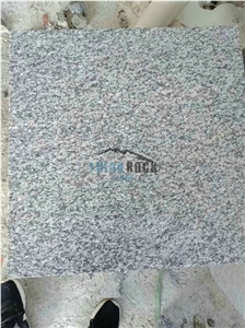 G623 China Bianco Sardo Grey Granite Flooring Tile
