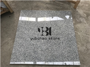 China Silver Grey Granite, G602 for Stairs/Risers