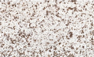 Cambria Silver Galaxy Quartz Stone Slabs Msq2032