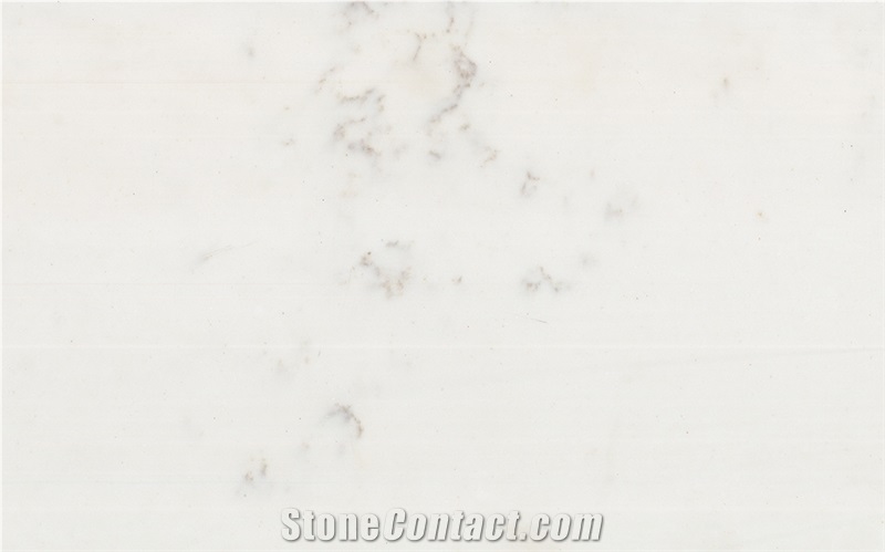 Cream Flower Quartz Stone Kitchen Slabs Msq3006