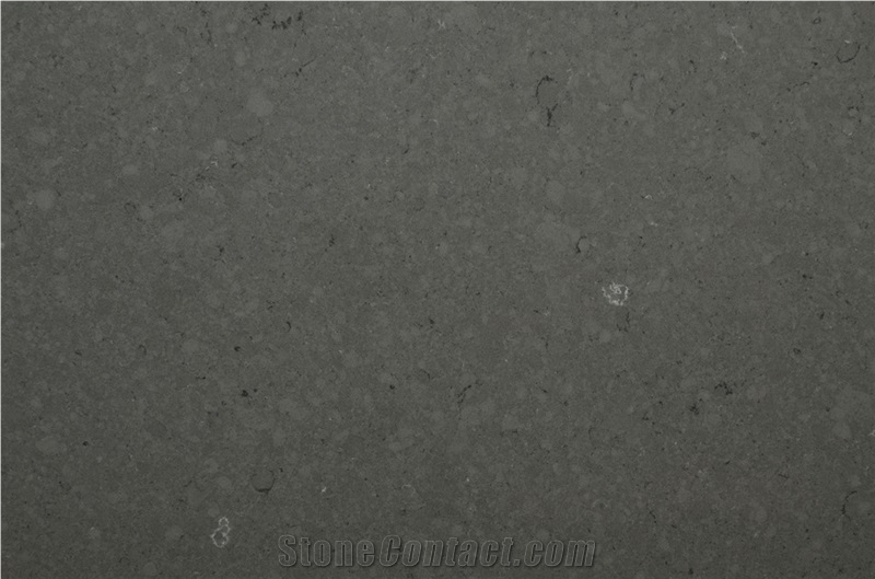 Fossil Gray Quartz Stone Bathroom Slabs Msq4006