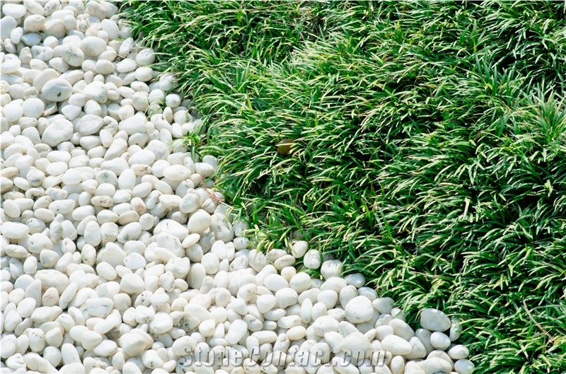 Decorative Pebble Stones for Garden Of White Marble