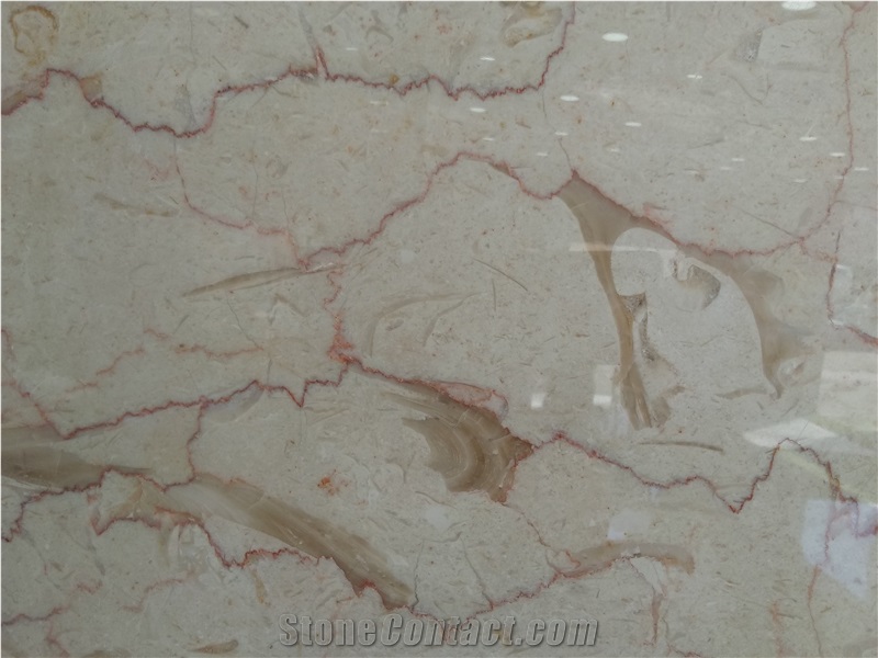 Jurassic Cream Marble Slabs, Tiles