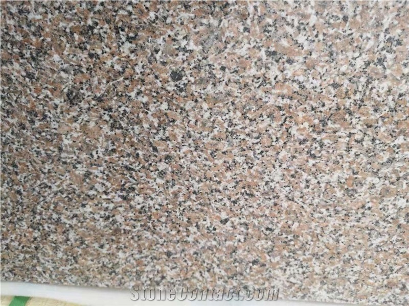 New G664 Wulian Flower Granite Polished Tiles G361