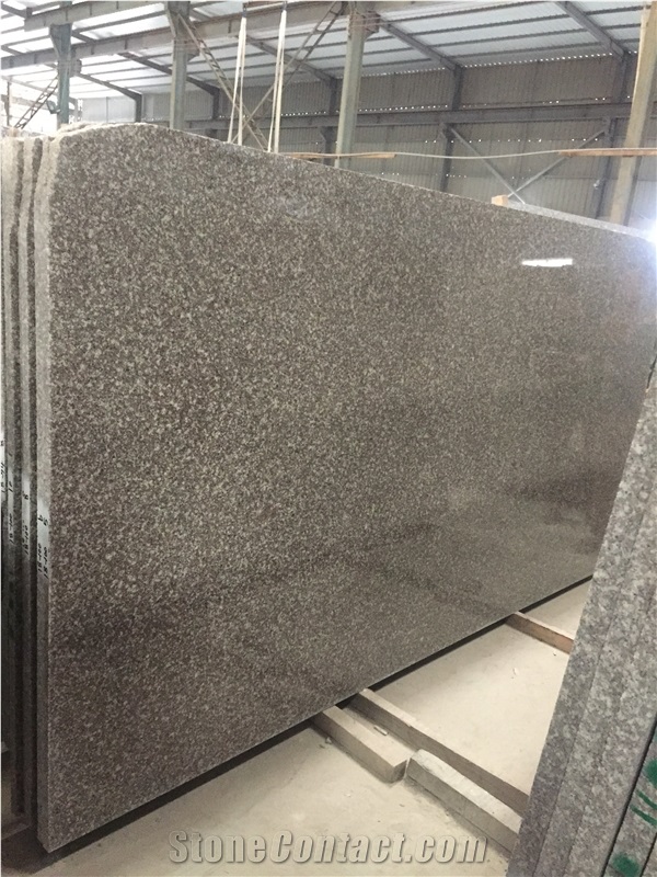 Polished Dark Pink G664 Granite 3cm Big Slabs