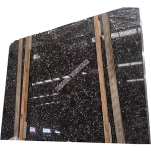 YUANDA Moroccan Fossil Black Marble Slabs