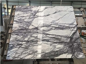 Italy Forest Ice White Marble Tile