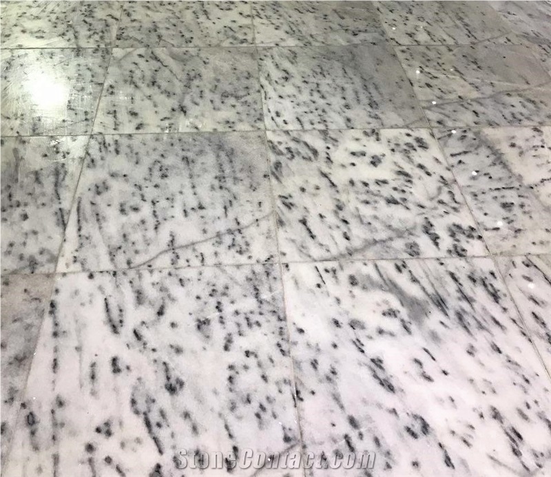 Wild Rain Cross Cut Marble Tiles & Slab