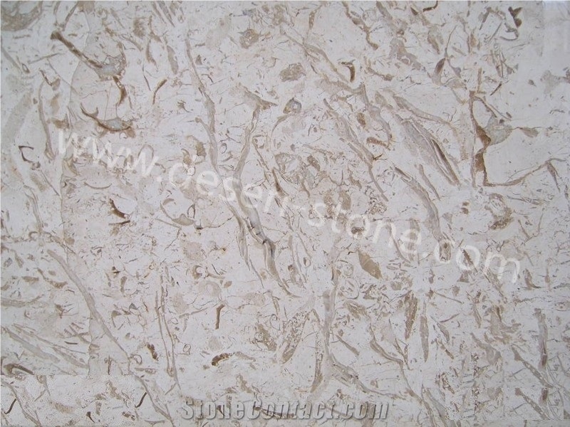 Calcario Croatia Fiorito/Croatia Beige Marble Stone Slabs&Tiles Liners