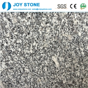China Bianco Sardo Polished Grey Granite G623 Tiels&Slabs