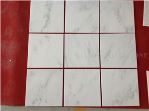Bianco Dolomite White Marble Tile Panel Bathroom Walling,Floor Covering