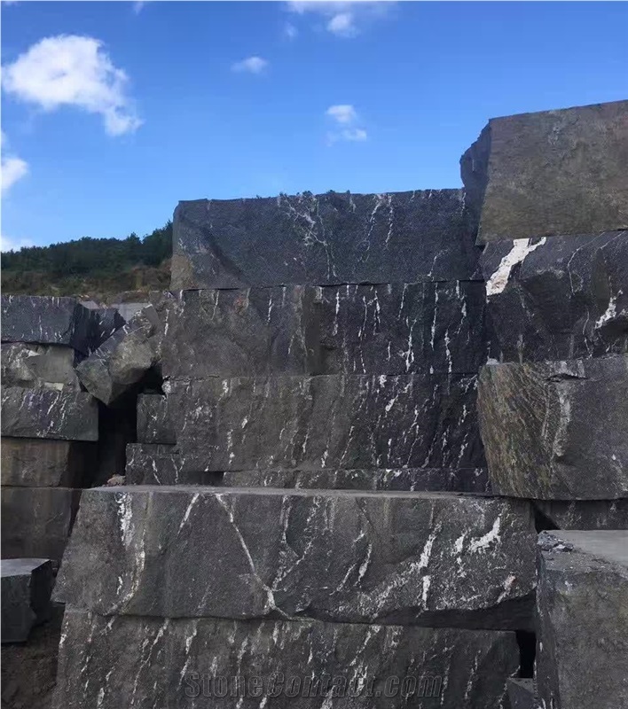 Black Snowflake Granite, Granite Tiles&Slabs,Cloud Black Stone