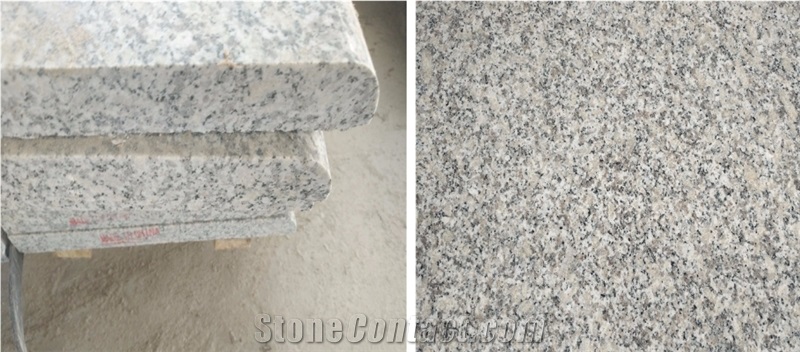 Cheap Chinese Light Grey Granite G602,Polished Big Slabs,Leiyan Stone