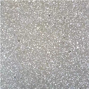 Light Grey Terrazzo Tiles with White Particles, Tm011g