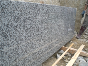 China Big Flower Granite G439 Polished Big Slab Half Slab Floor Tile