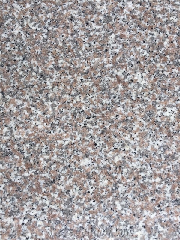 China Nanjing Red Granite G639 Polished Big Slab Half Slab Floor Tile