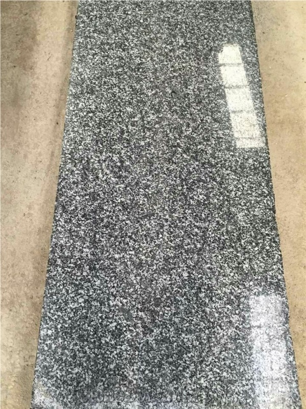 China New G654 Polished Big Slab Half Slab Floor Tile Wall Tile