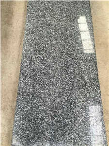 China New G654 Polished Big Slab Half Slab Floor Tile Wall Tile