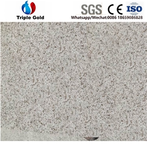 China Lilly Zhenzhu,Pearl White,G3609,G456,G629,G896 Granite Slab,Tile