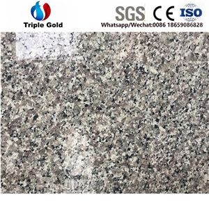 G436 Swan White Dallas Granite Goose Grey Granite Floor Tiles,Slabs