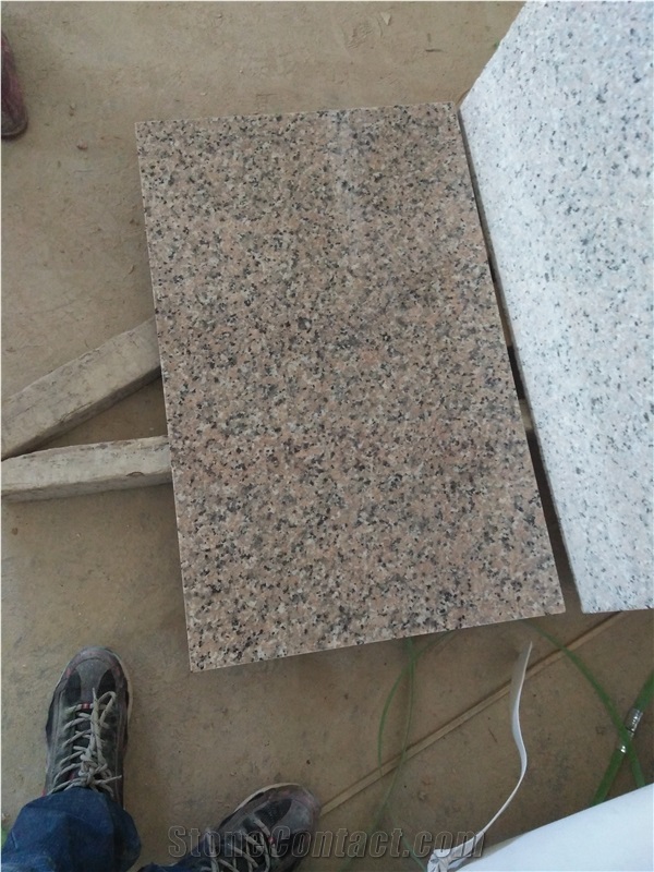 Competitive Price Chinese Granite Pink Porrino Granite Tiles