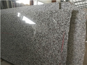 G439 Big Flower Grey Granite Wall Covering Tile,Floor Pattern Panel