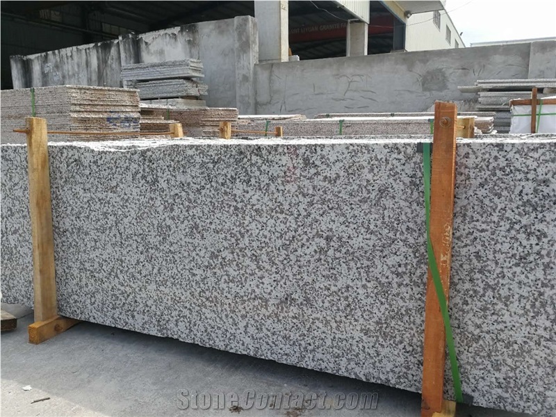 G439 China Bianco Sardo Granite Tile,Machine Cutting Panel Slab