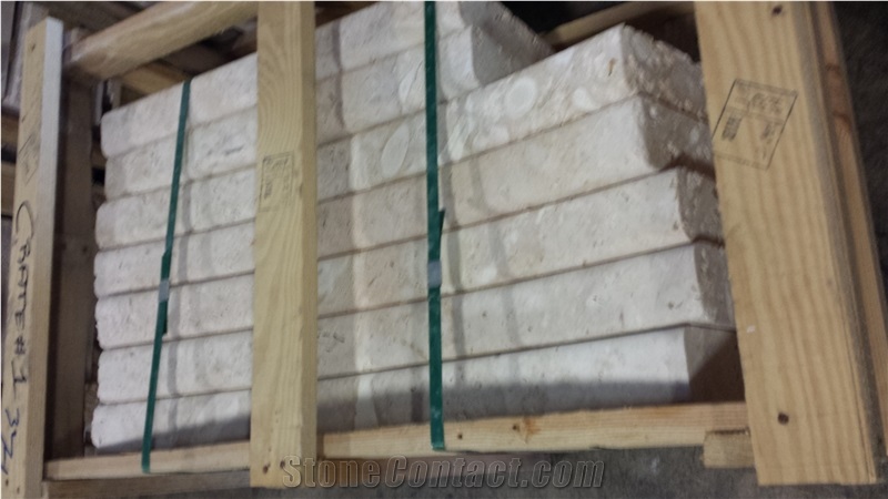 Dominican Coral Stone Saw Cut Tiles, Slabs
