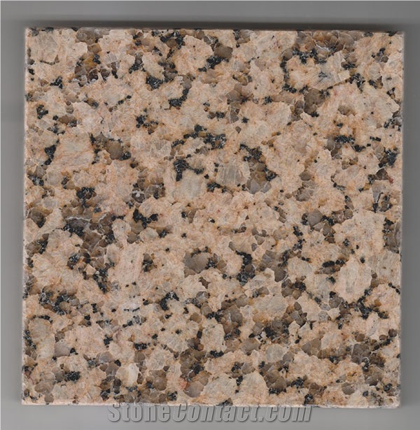 Mum Yellow Granite,China Yellow Granite,Granite Tiles and Slabs