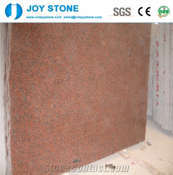 Cheap G562 Granites Maple Red Tiles Slabs Cut to Size Flooring Popular
