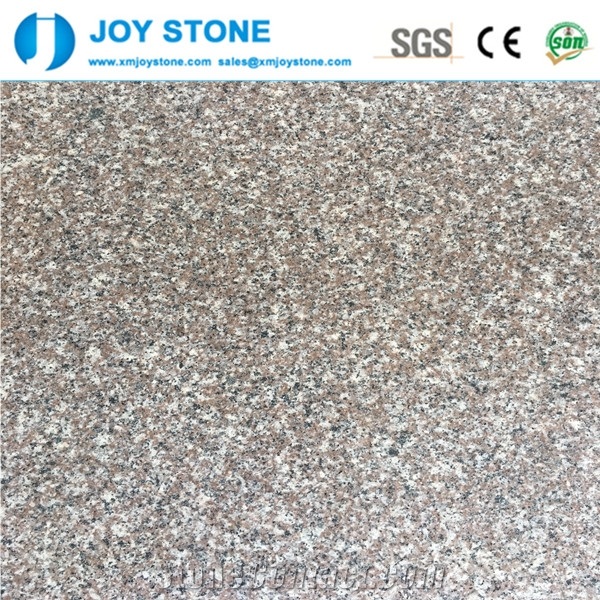 Competitive Price Hot Selling Chinese G664 Granite Violet Luoyuan Slab