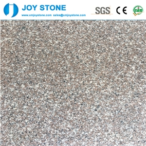 Competitive Price Hot Selling Chinese G664 Granite Violet Luoyuan Slab