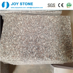 Costomized Size Cheap Prices G636 Pink Granite Polished Flooring Tiles