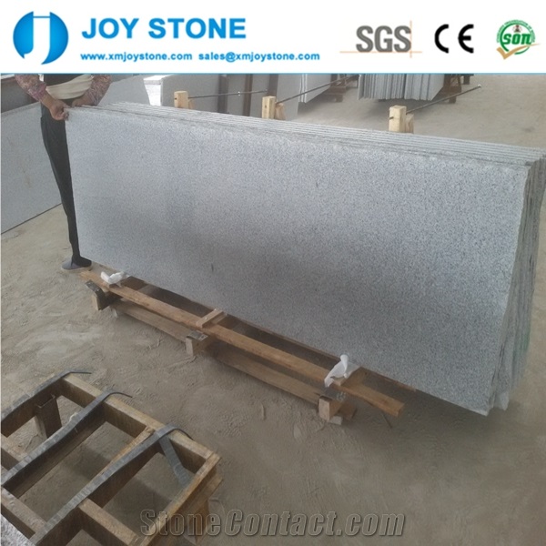 G603 Granite Padang Chiaro Small Slab 60x60x2