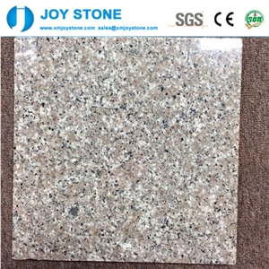 High Quality Apple Pink G636 Polished Non-Slip Interior Wall Tiles