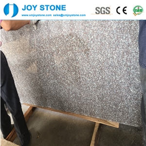 Low Price Hot Selling G664 Granite Violet Luoyuan Polished Small Slabs